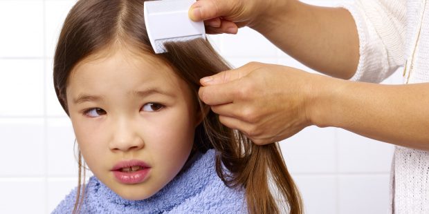 Getting Rid of Your Child’s Head Lice